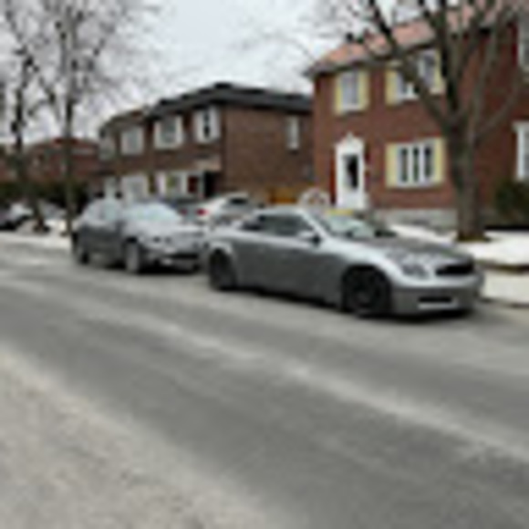 Meet your Posher, Maxim - Picture 1 of 1